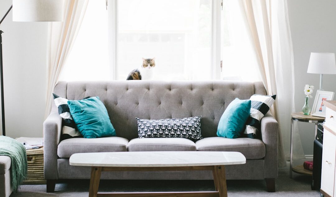 tips memilih bantal untuk sofa rotan