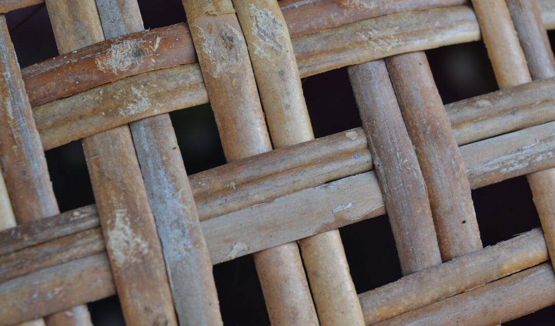 apa saja jenis rotan yang digunakan untuk furniture