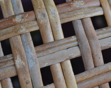 apa saja jenis rotan yang digunakan untuk furniture