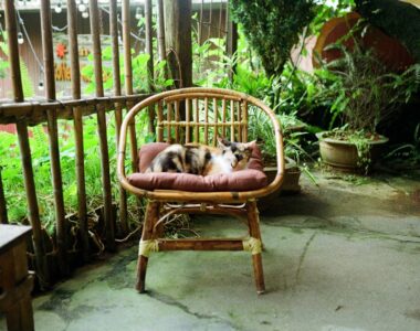 cara mengecat ulang kursi rotan yang pudar