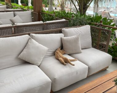 cara mengecat ulang sofa rotan yang pudar