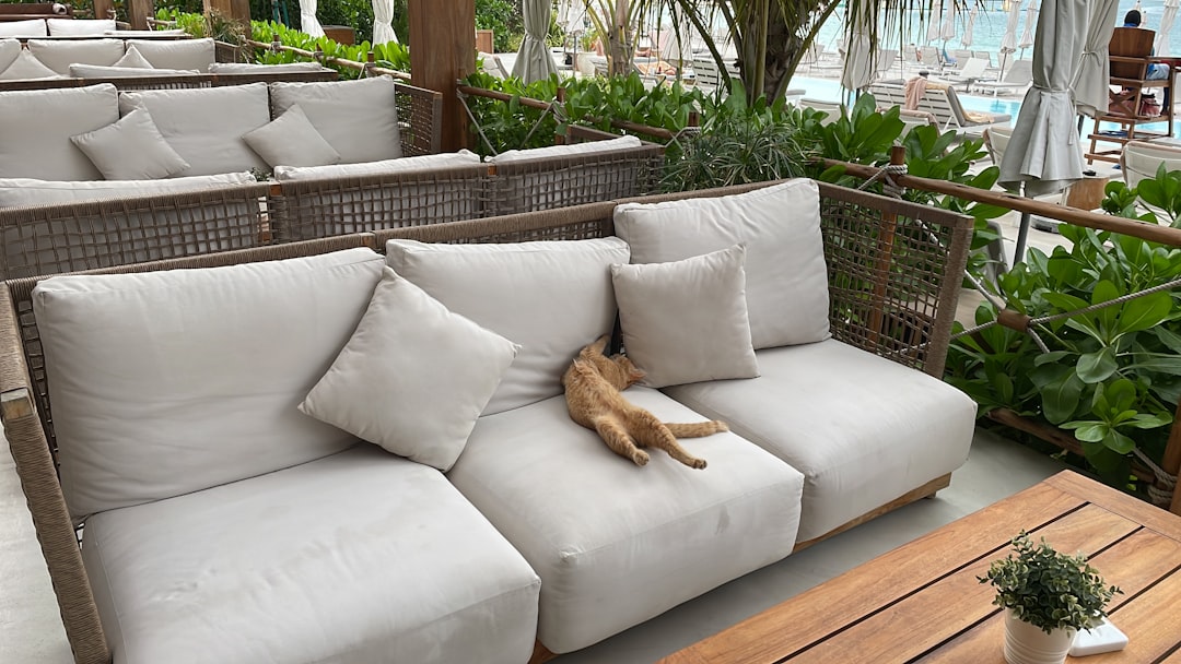 cara mengecat ulang sofa rotan yang pudar